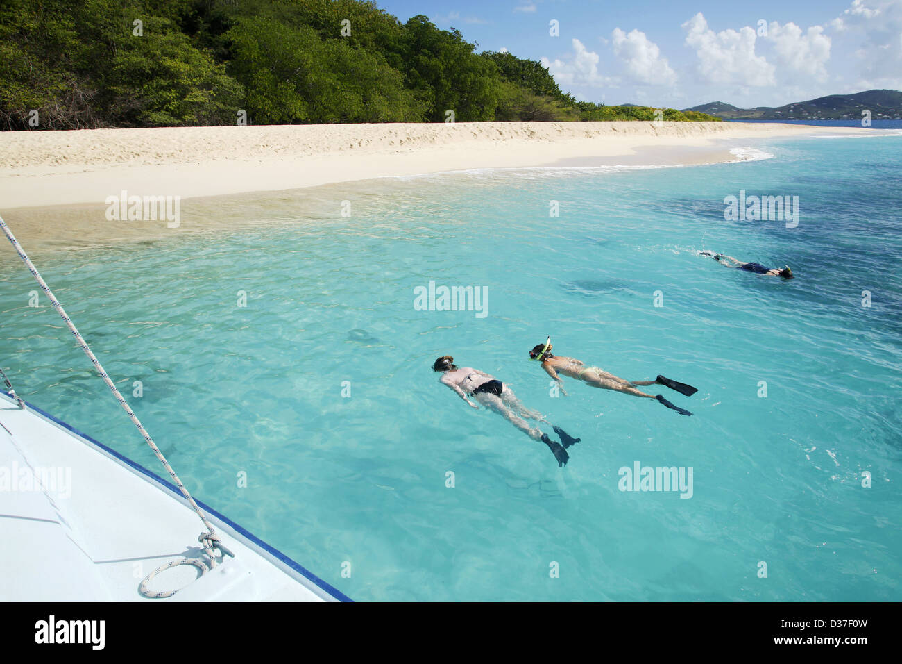Snorkeling, Buck Island, US Virgin Islands, Caribbean Stock Photo Alamy