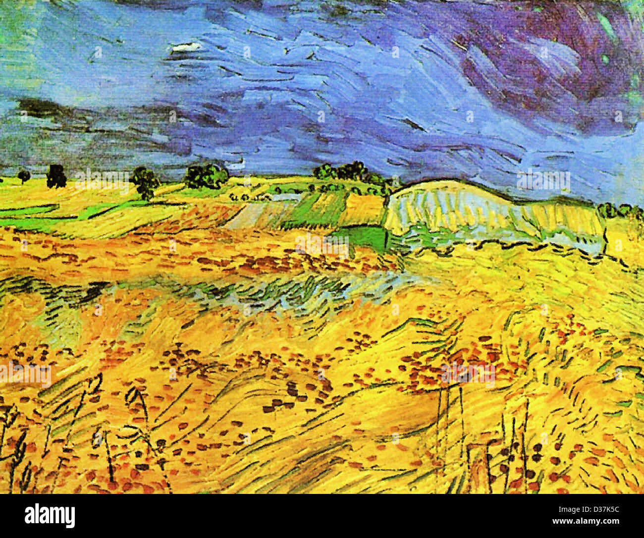 Vincent Van Gogh The Fields 1890 Post Impressionism Oil On Canvas Vincent Van Gogh The Fields 1890 Post Impressionism Oil On Canvas