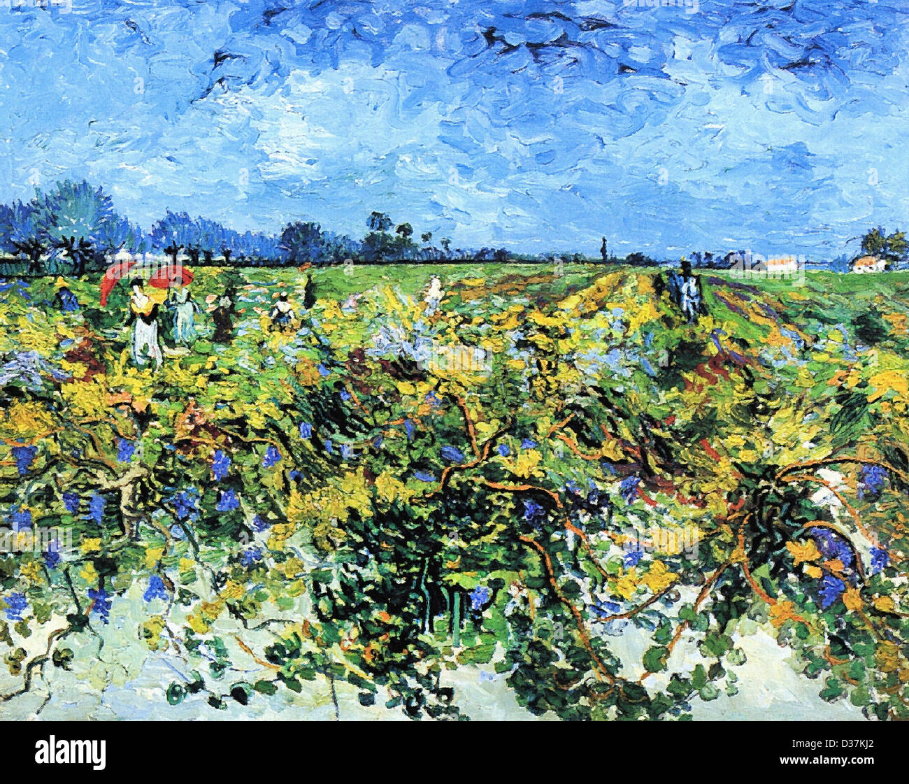 Vincent van Gogh, The Green Vinyard. 1888. Post-Impressionism. Oil on canvas. Rijksmuseum Kröller-Müller, Otterlo, Netherlands. Stock Photo