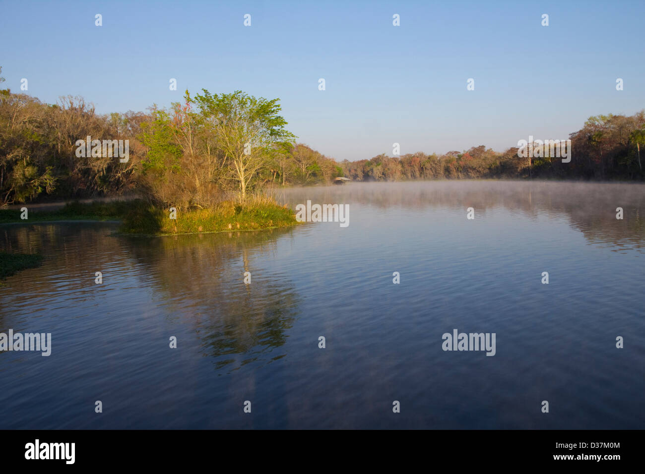 Spring Garden Creek flows at the rate of 19 million gallons a day from