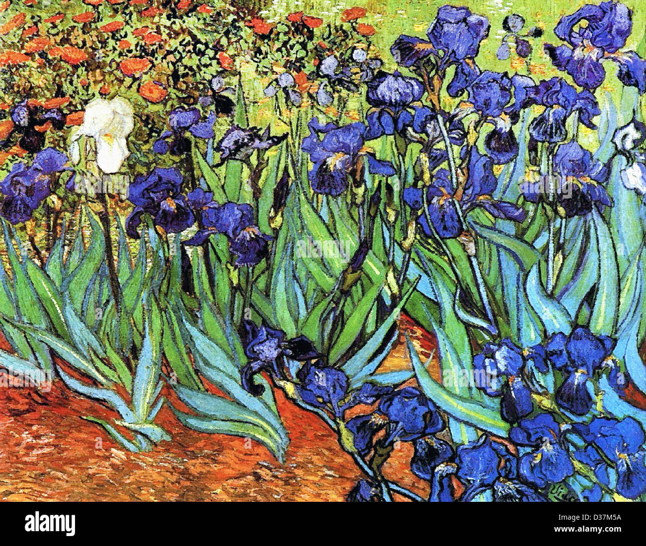 Vincent van Gogh, Irises. 1889. Post-Impressionism. Oil on canvas. Getty Museum, Los Angeles, California, USA. Stock Photo