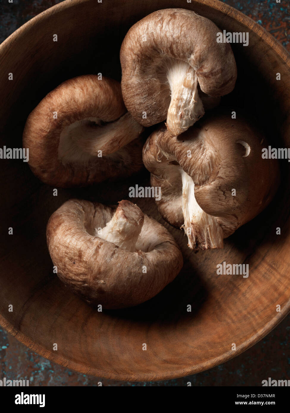 Shitake mushroom hi-res stock photography and images - Alamy