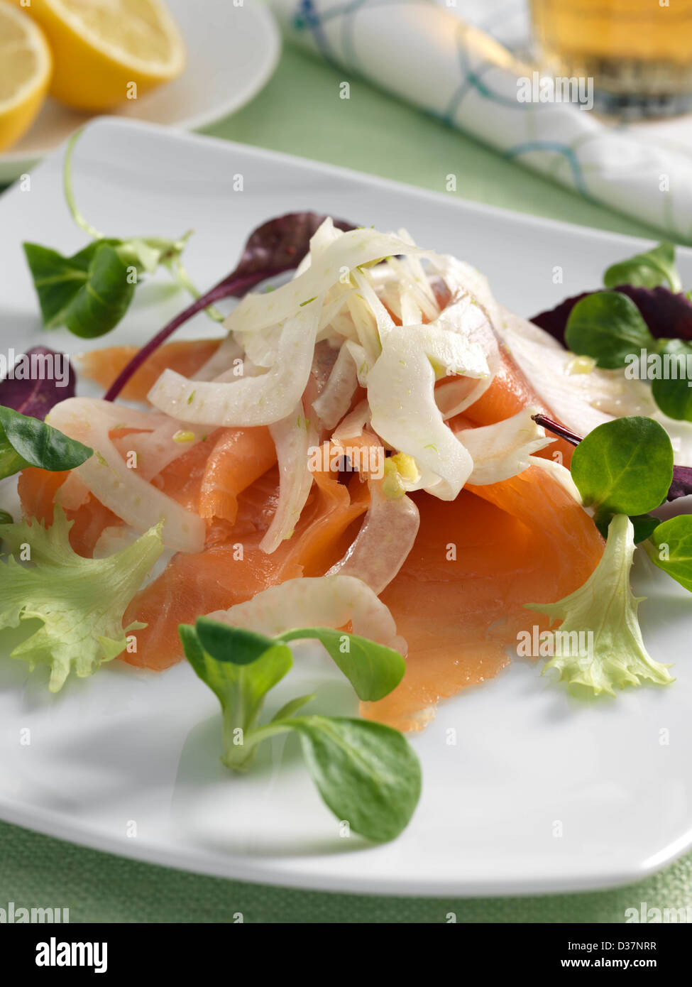 Salmon with fennel salad Stock Photo Alamy