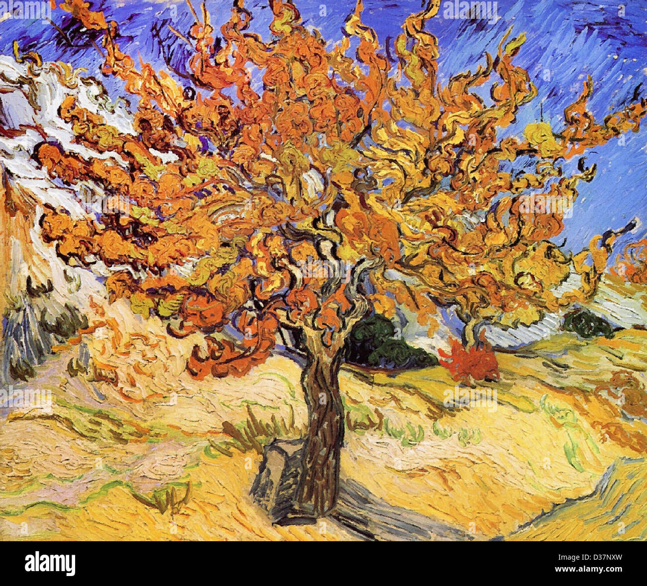 Vincent van Gogh, Mulberry Tree. 1889. Post-Impressionism. Oil on canvas. Norton Simon Museum, Pasadena, CA, USA. Stock Photo