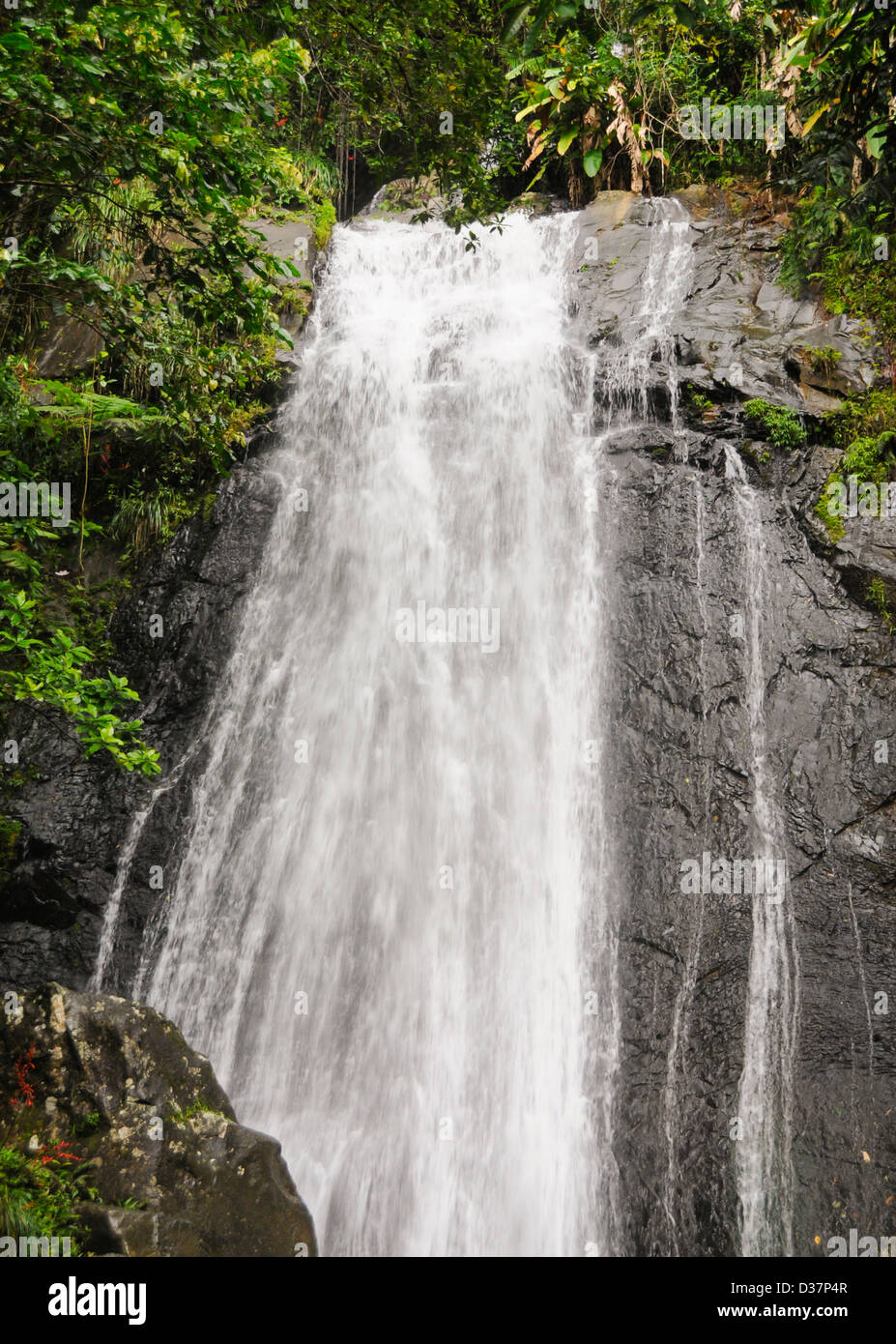 Puerto Rico, El Yunque, Closeup of waterfall Stock Photo Alamy