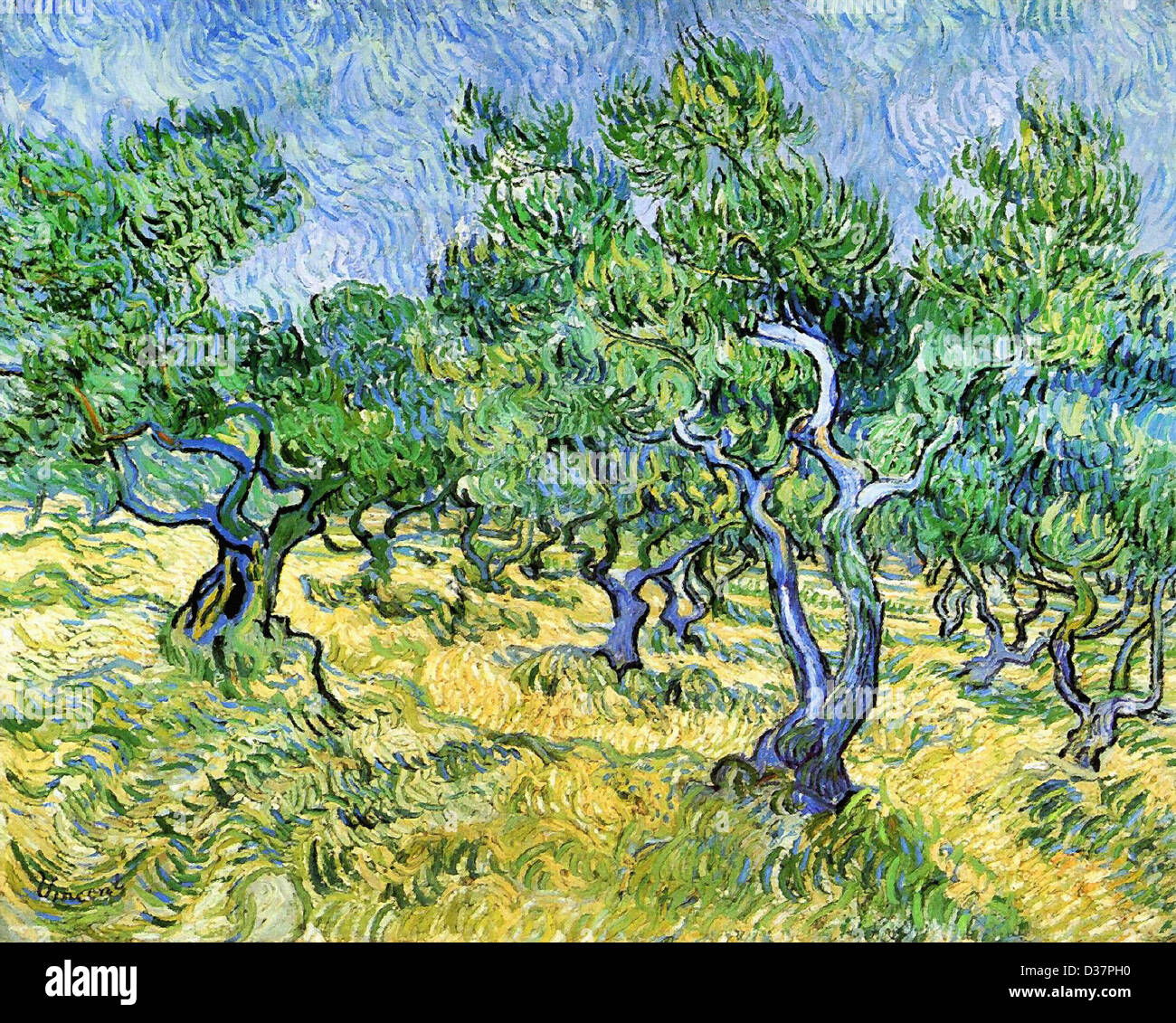 Vincent van Gogh, Olive Grove. 1889. Post-Impressionism. Oil on canvas. Rijksmuseum Kröller-Müller, Otterlo, Netherlands. Stock Photo