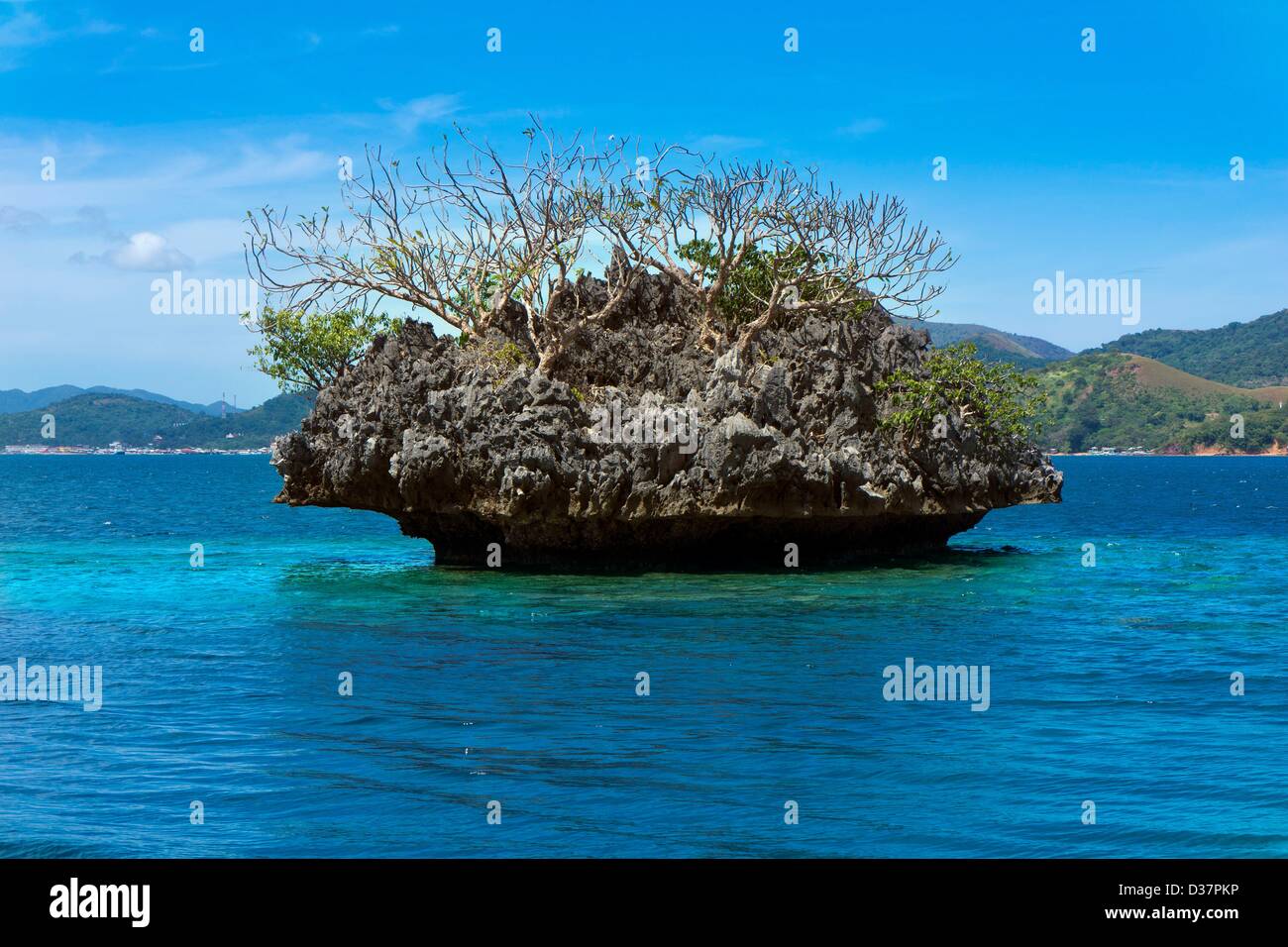 Coral block with trees over water off the island of Coron, nature reserve Balnek, Coron, Palawan, Philippinen, Asia. Stock Photo