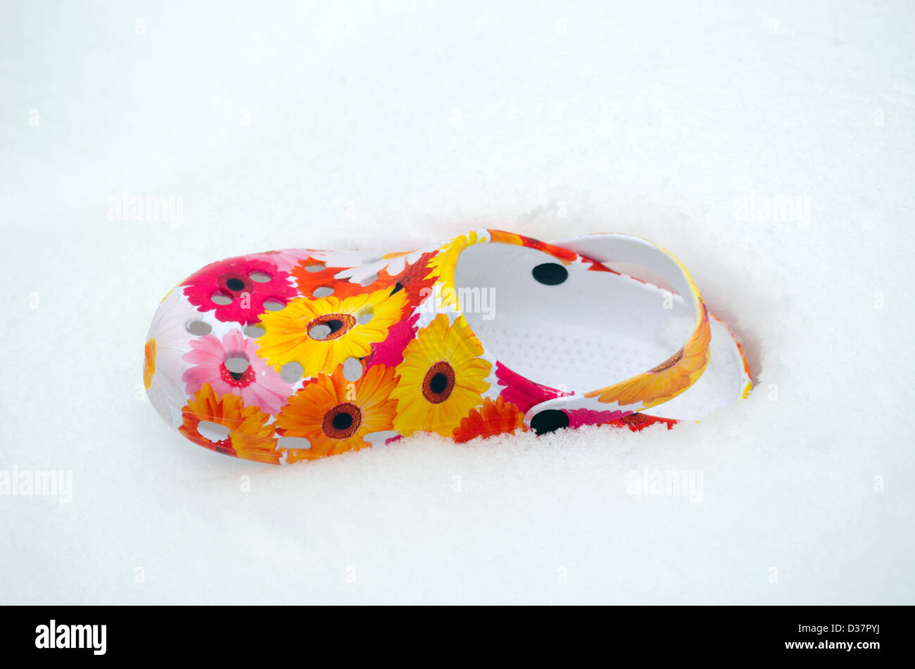 colorful slipper mule scuff with flowers lie on snow in winter snowbank. Stock Photo