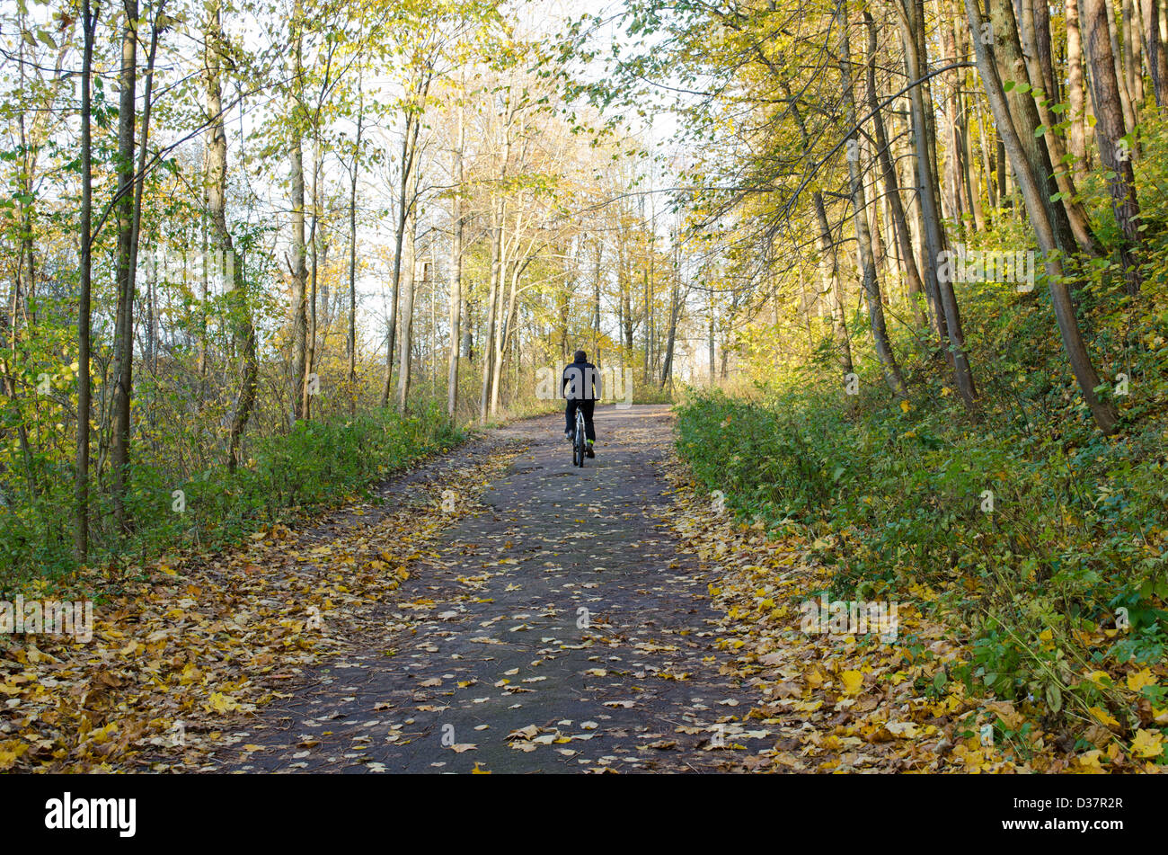 cyclist ride bicycle uphill road between colorful autumn trees in park forest. Stock Photo