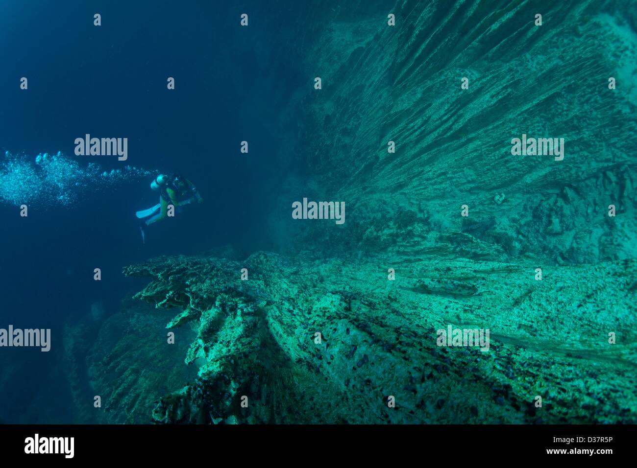 Divers in the Barracuda Lake, a tourist attraction for nature lovers and divers, nature reserve Coron, Calamian Islands, Palawan, Philippines, Asia Stock Photo