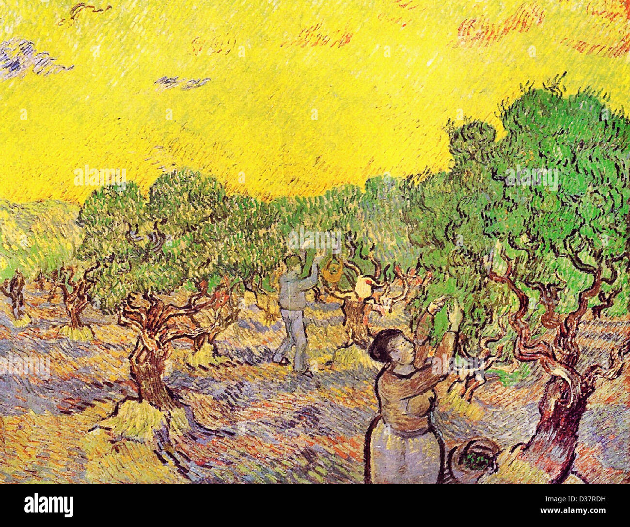 Vincent van Gogh, Olive Grove with Picking Figures. 1889. Post-Impressionism. Oil on canvas. Rijksmuseum Kröller-Müller, Otterlo Stock Photo