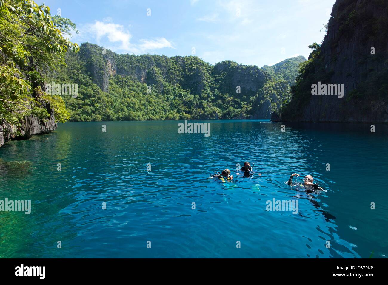 Divers at the Barracuda Lake, a tourist attraction for nature lovers and divers, nature reserve Coron, Calamian Islands, Palawan, Philippines, Asia Stock Photo