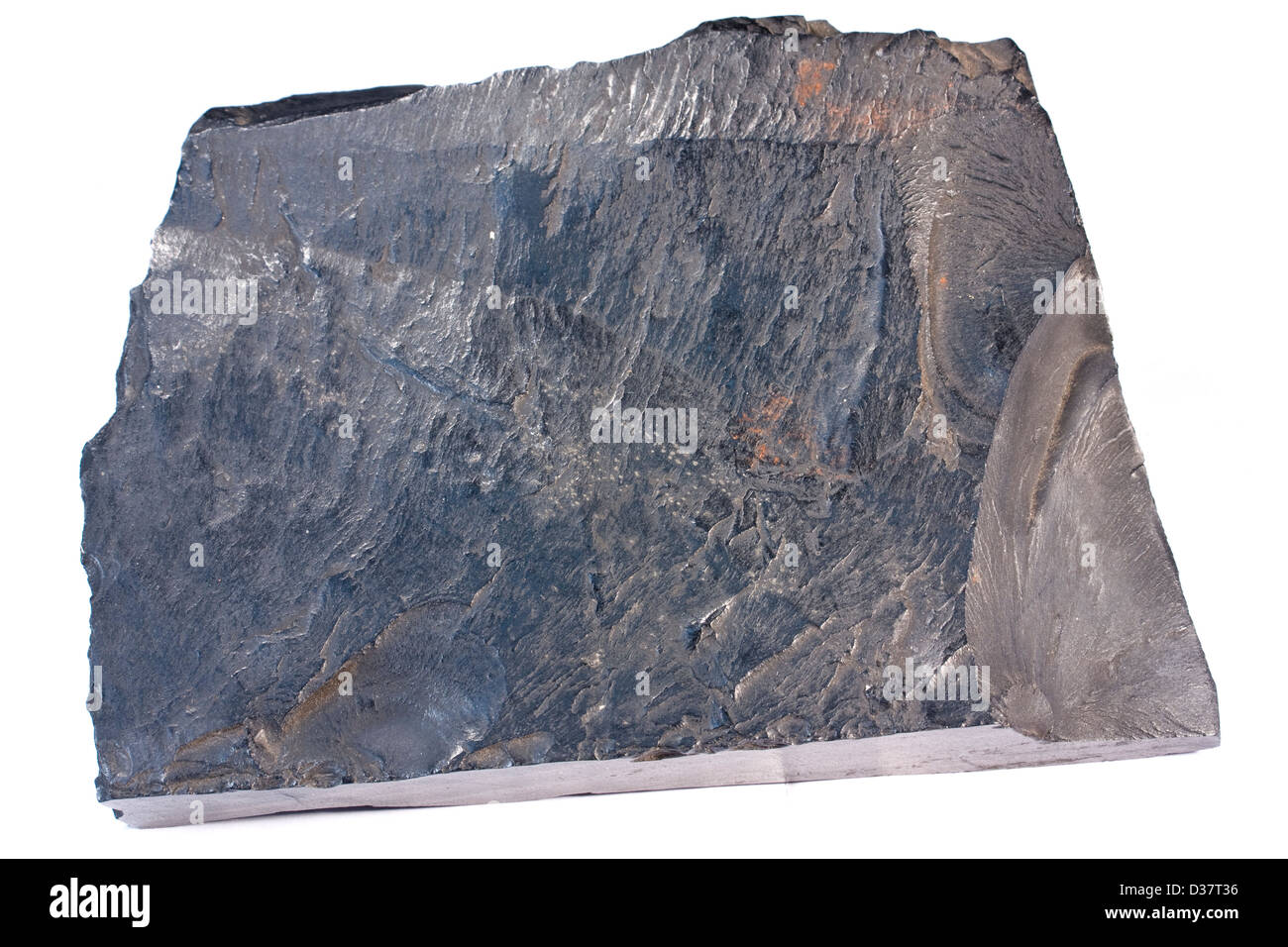 Cannel coal Stock Photo
