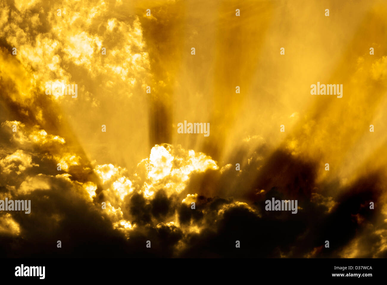 Rays of sunlight in warm morning sunrise Stock Photo Alamy