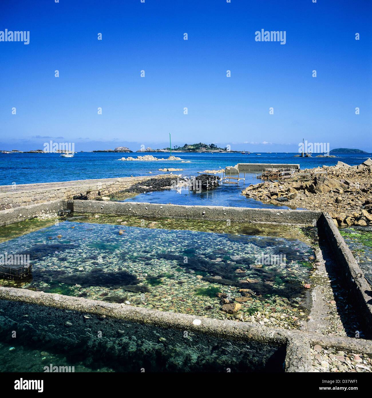 Fish and seafood basins 'Pors-Even' harbour Brittany France Stock Photo