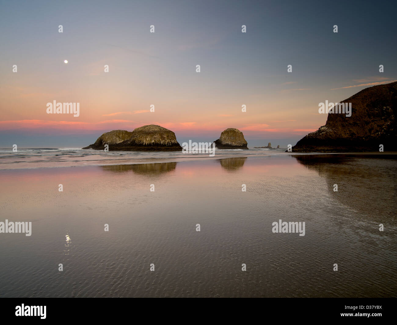 Moonset over Cannon Beach at low tide. Oregon Stock Photo