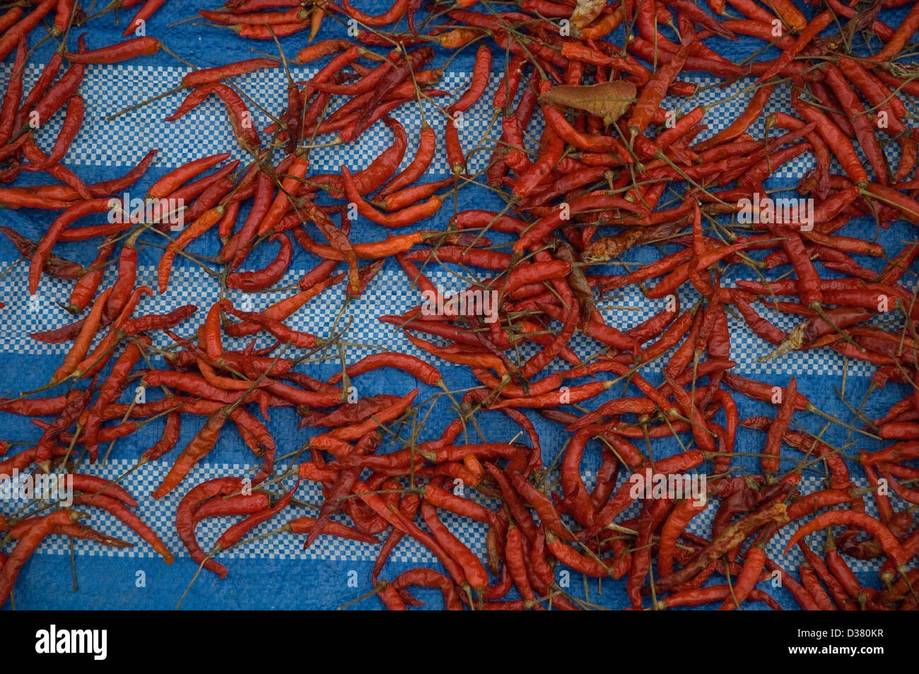 Red Chili Peppers in a market stall in Thailand Stock Photo - Alamy