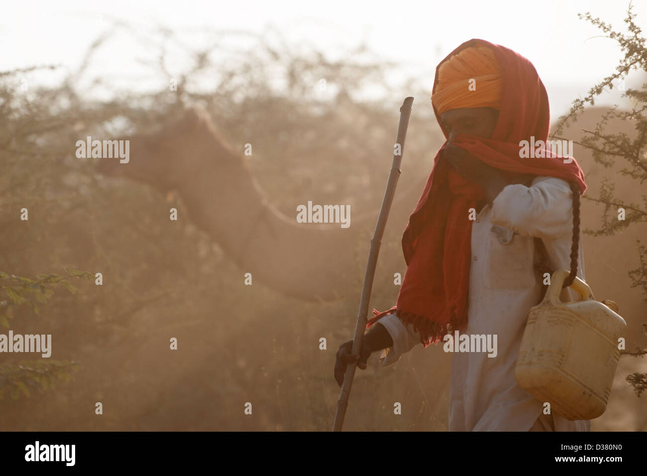 Camel herder walk in the desert Stock Photo