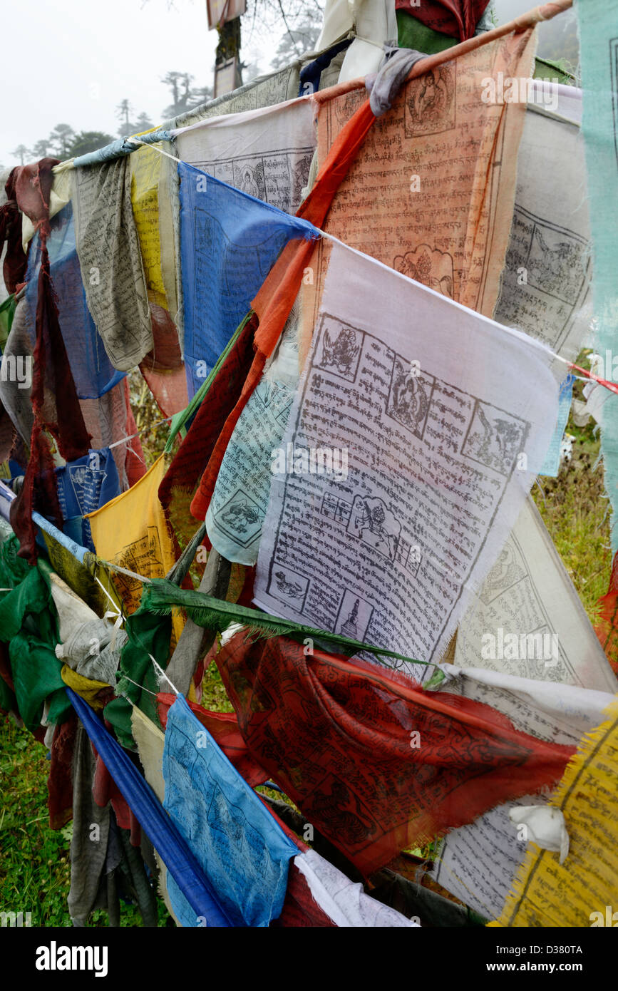 Yotong La pass,3425m,Prayer flags,wind,flags,lungdhar,36MPX,HI-RES Stock Photo
