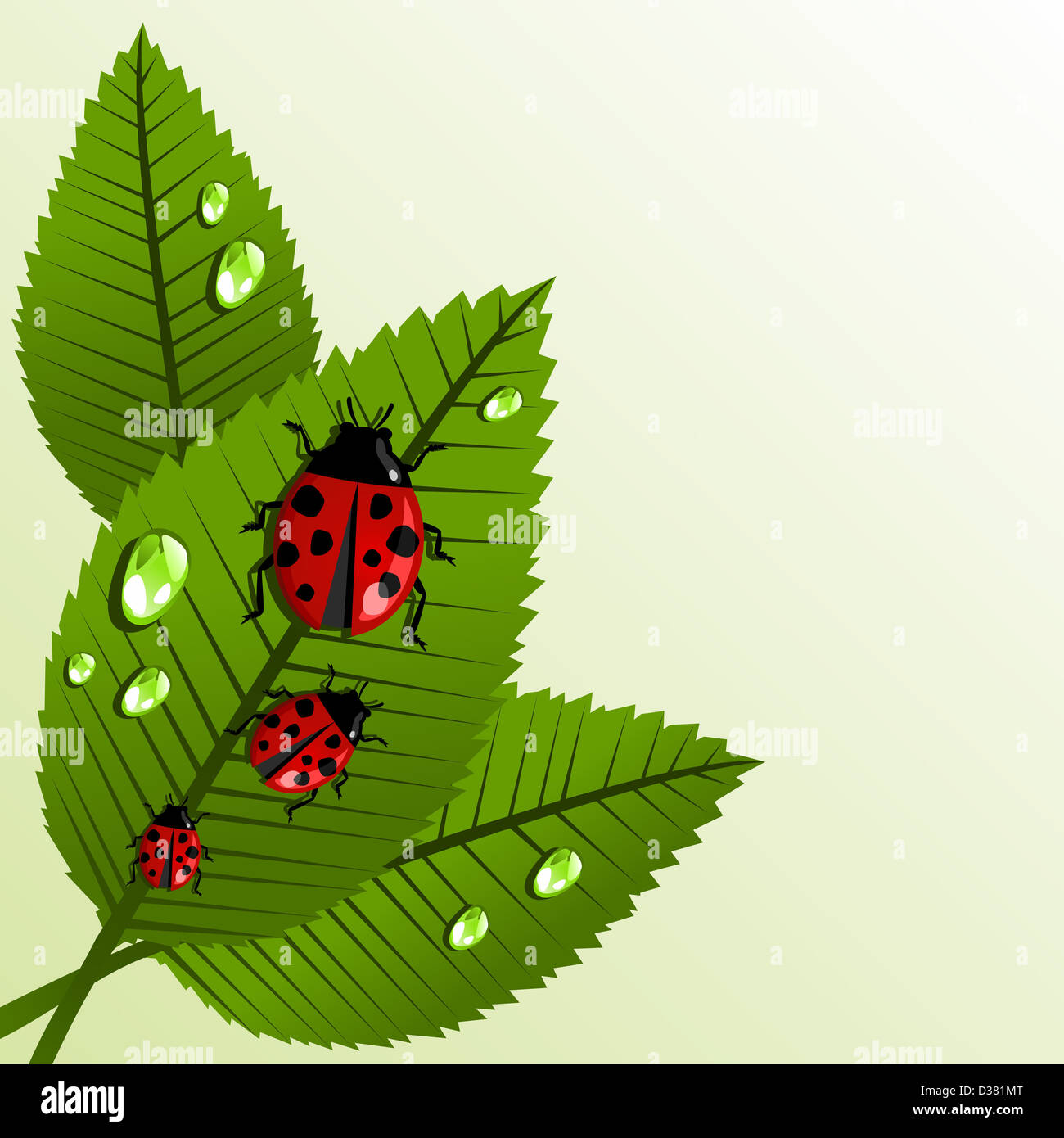 Spring ladybug and leaves with water drop background. Vector file layered for easy manipulation and custom coloring. Stock Photo