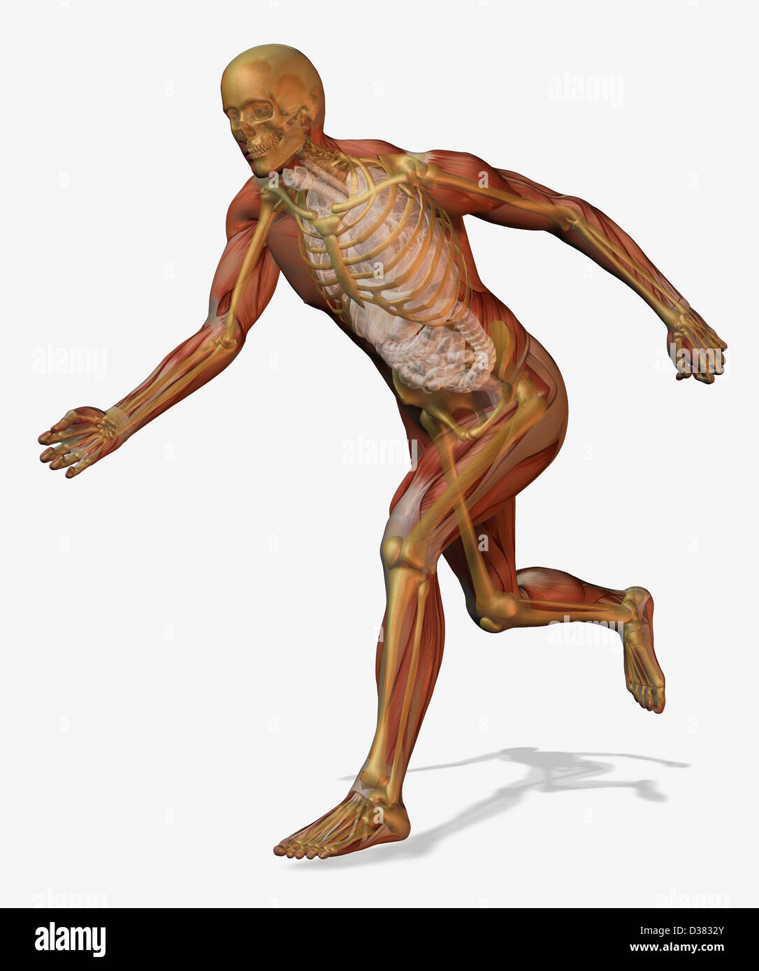 Digitally generated image of running male likeness Stock Photo