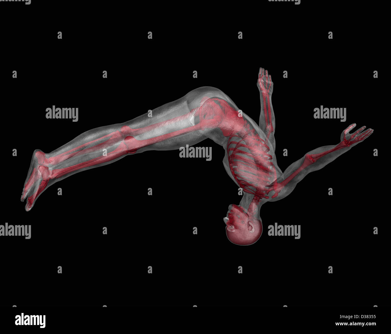 Human skeleton jumping upside down Stock Photo - Alamy