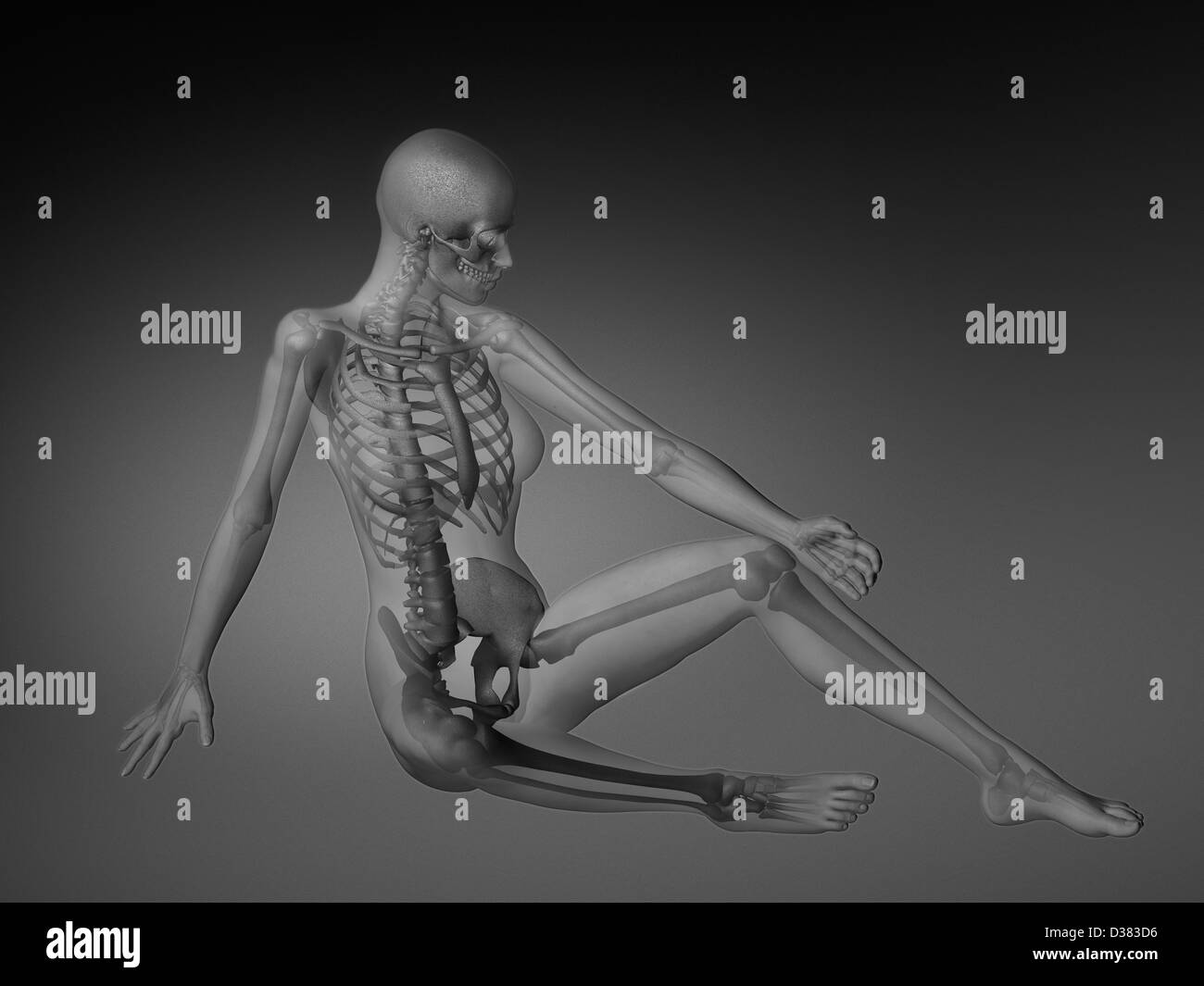 Female figure with skeleton and body parts visible Stock Photo Alamy