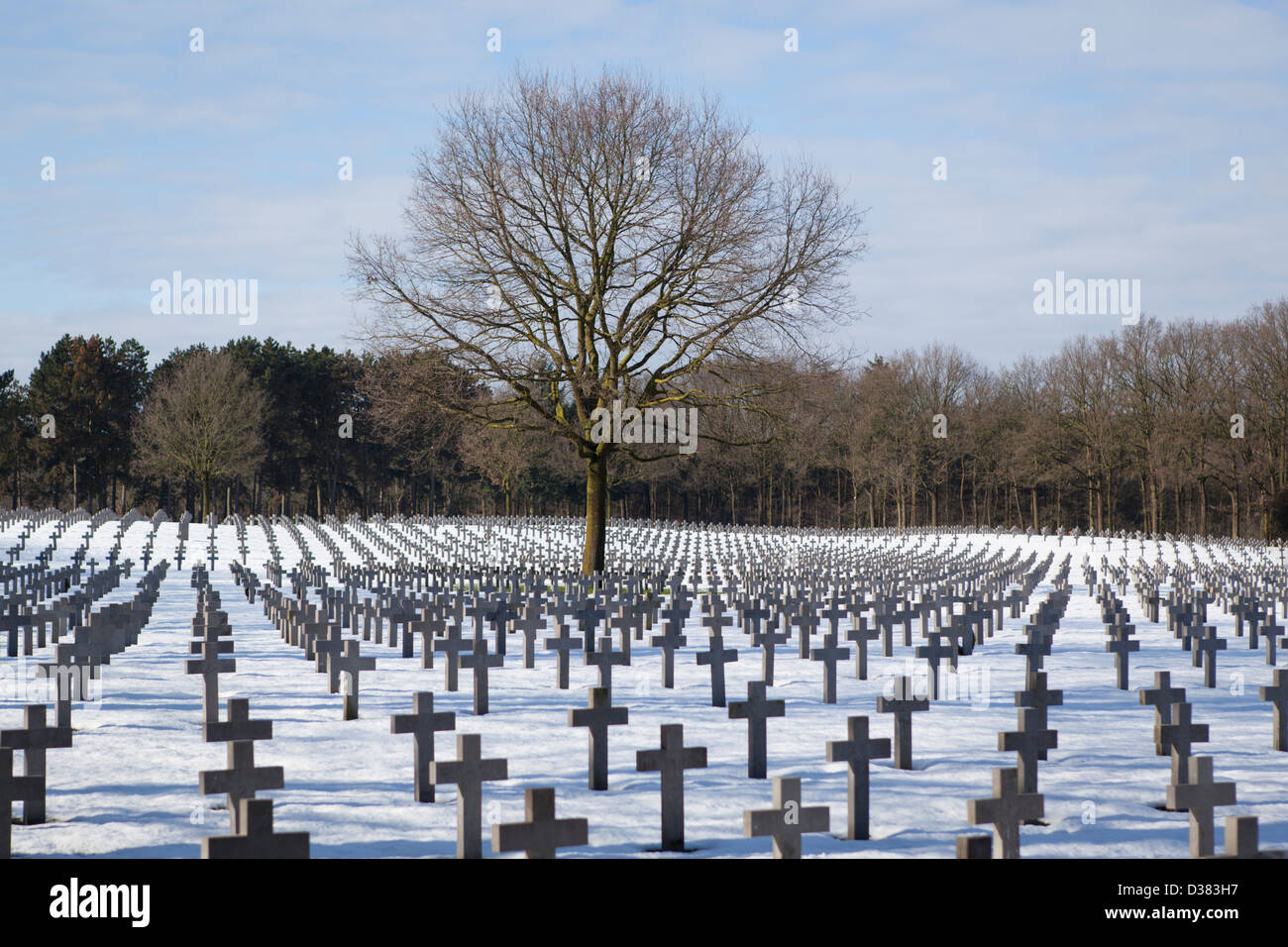 German War Cemetery Ysselsteyn With Snow During Winter In The ...