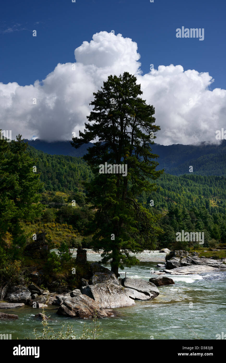 Bhutanese landscape with Chamkhor Chuu river and Do Zam next to Himalayan cypress tree.36MPX,HI-RES Stock Photo
