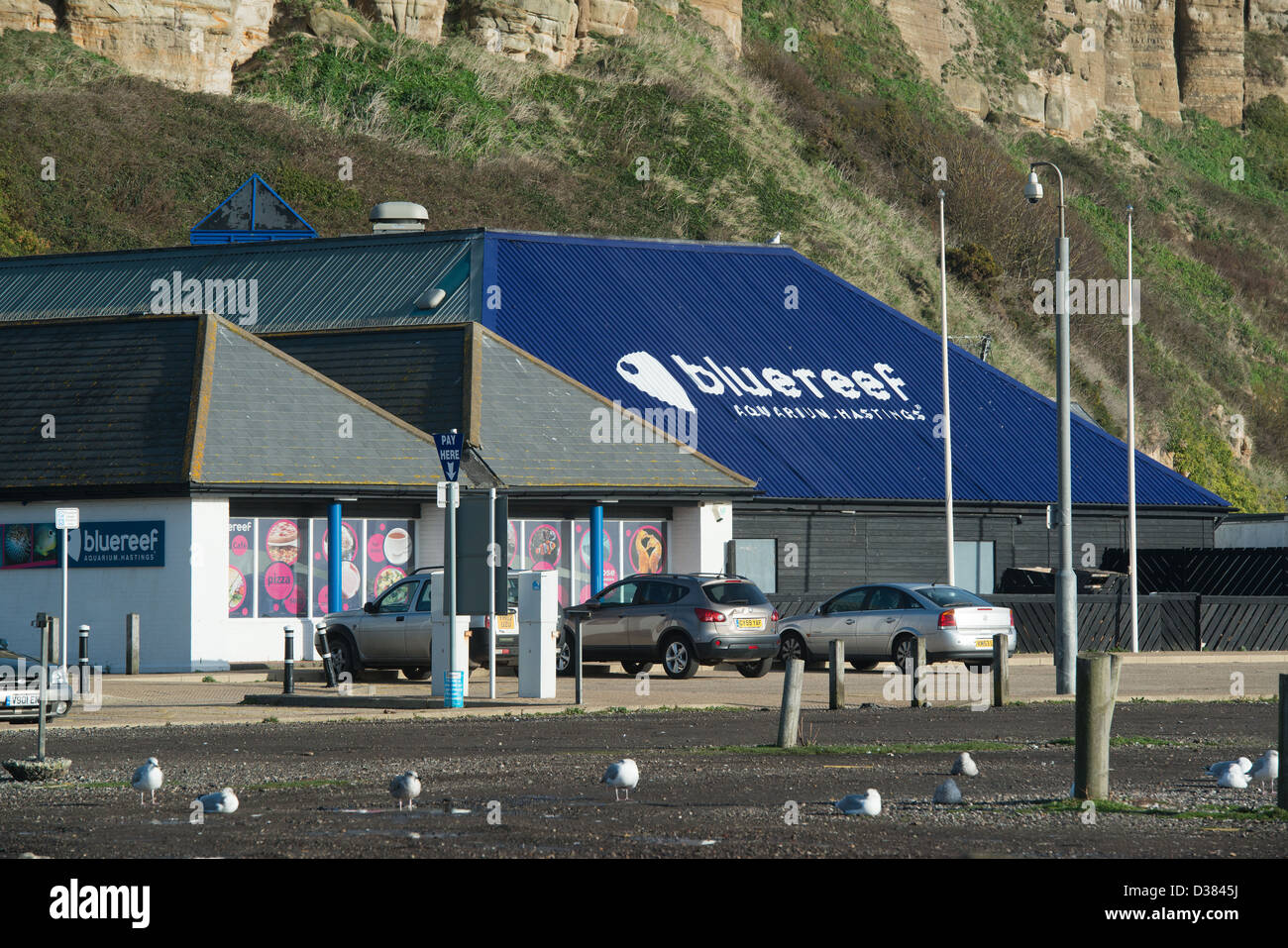 The Bluereef aquarium in Hastings Old Town situated in the RockaNore
