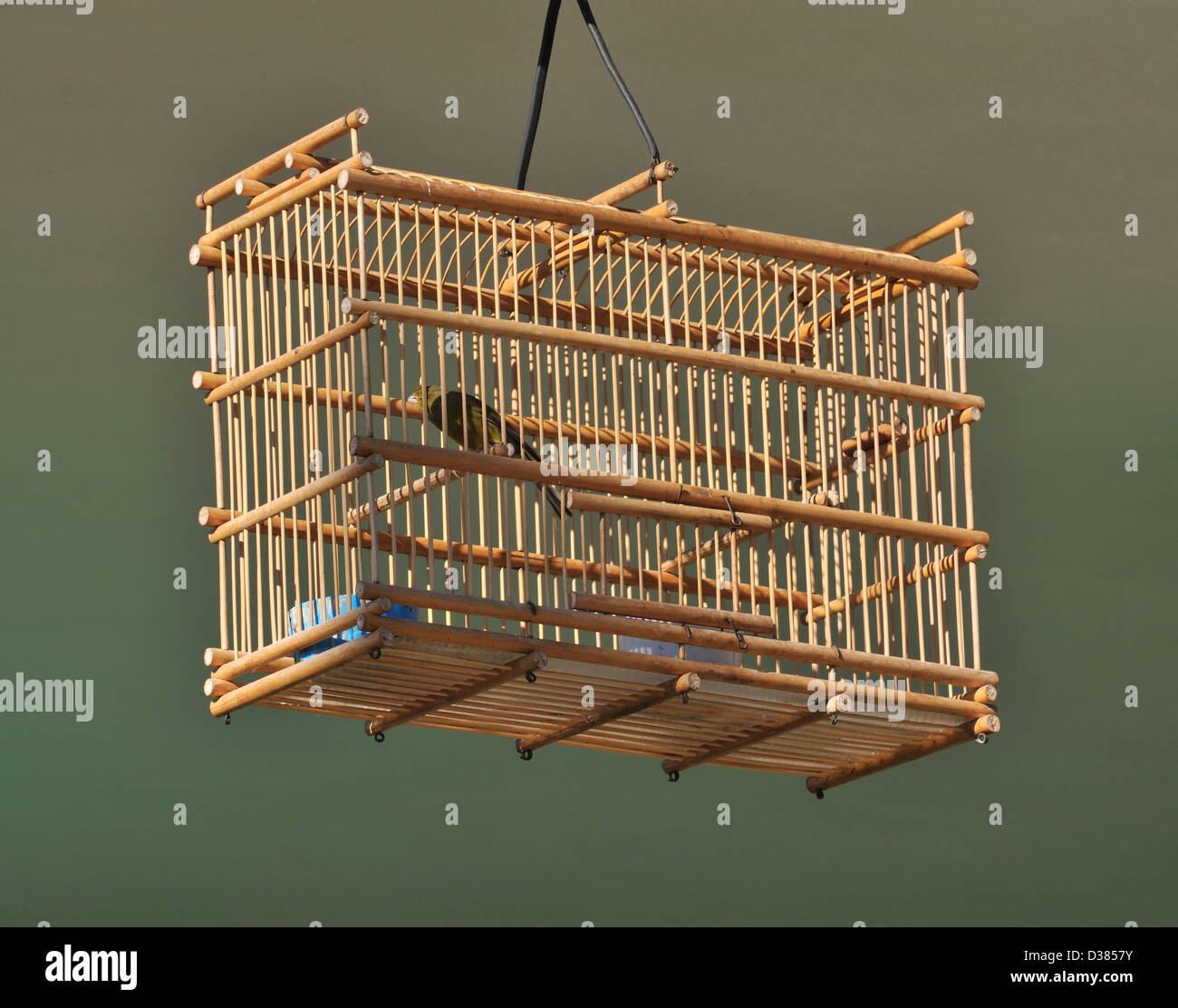 Bird cage, Trinidad, Cuba Stock Photo Alamy