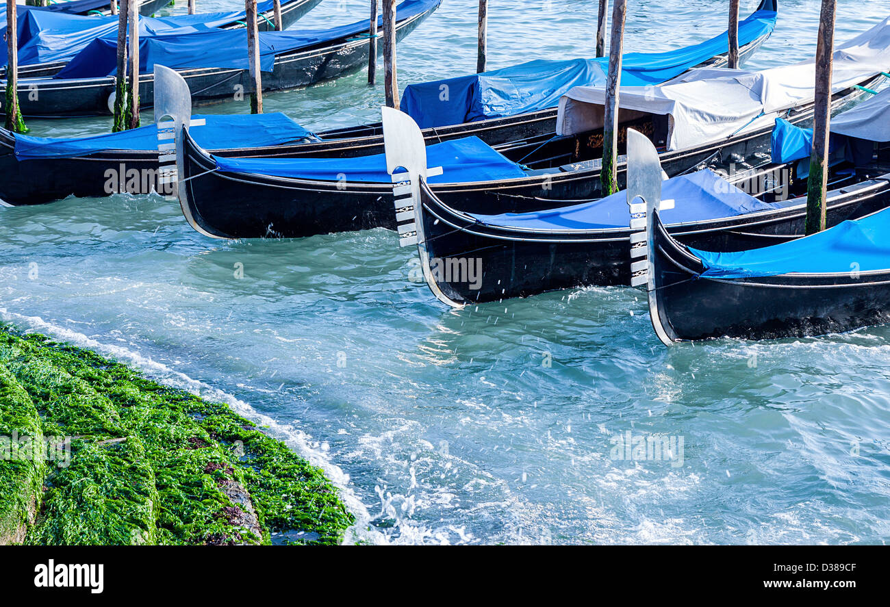 Venician gondolas bobbing in the water adjacent to steps covered in green algae. Stock Photo