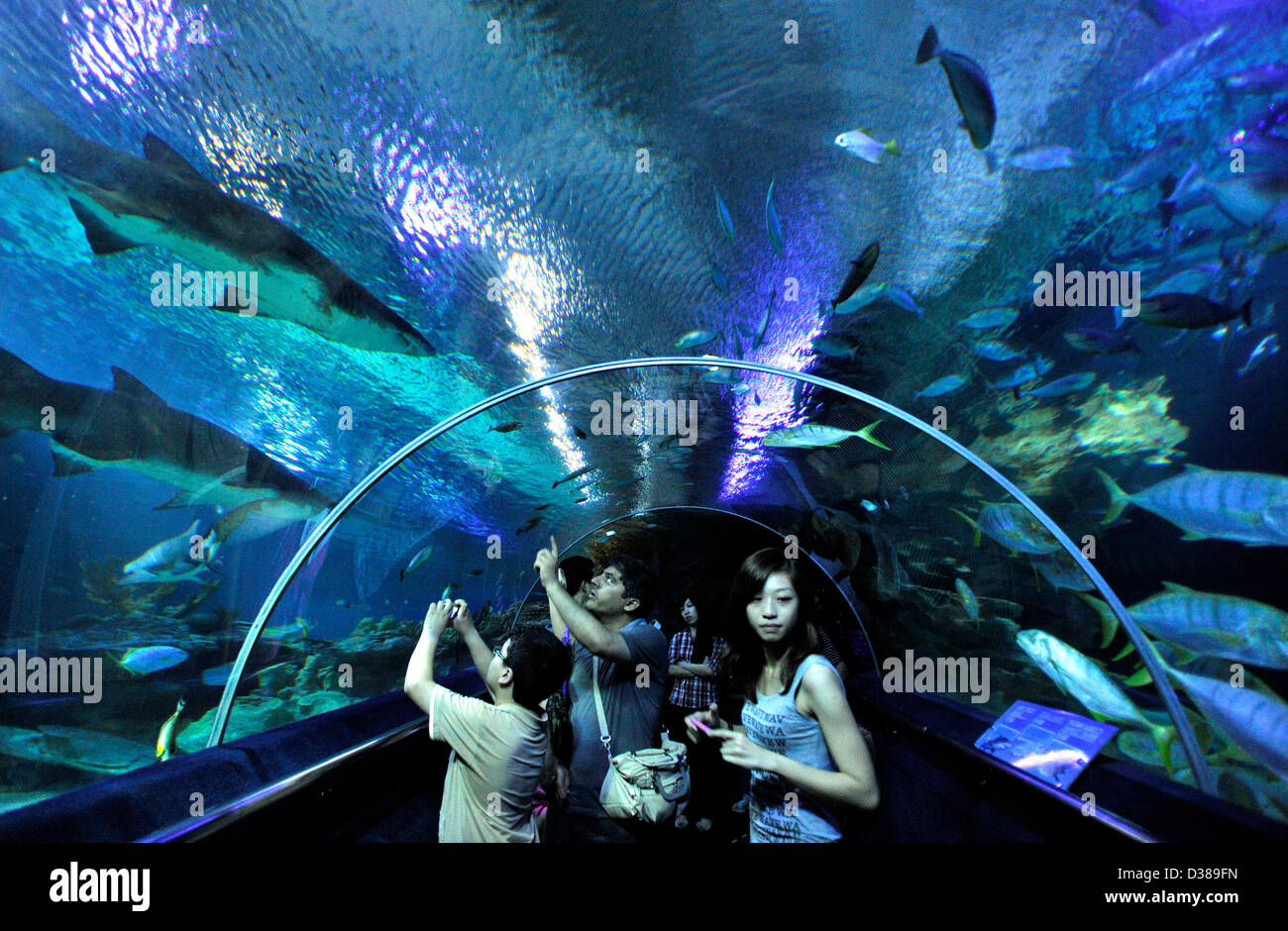 Kuala Lumpur, Malaysia. 13th February 2013. Visitors look at various