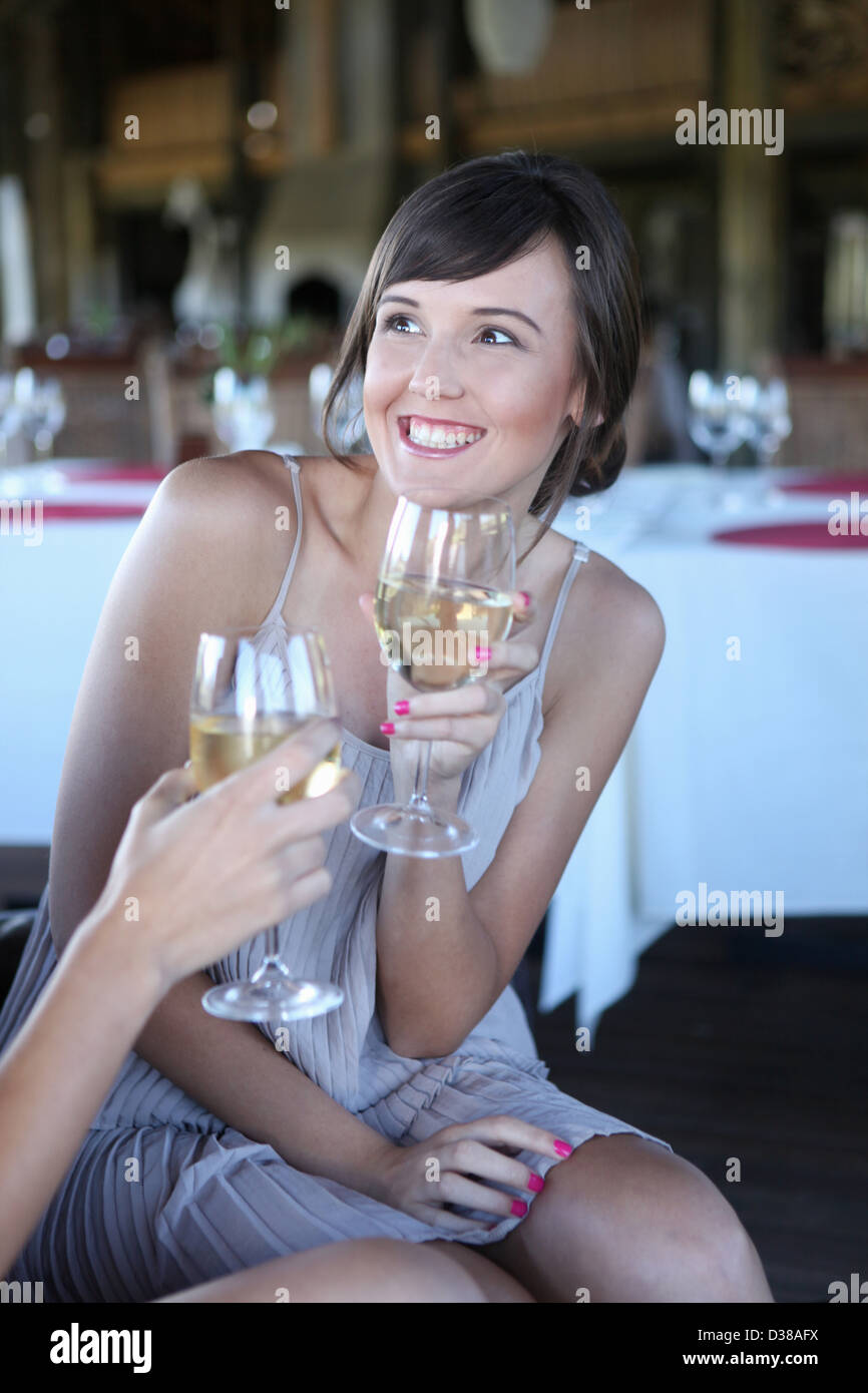 Women toasting each other with wine Stock Photo Alamy
