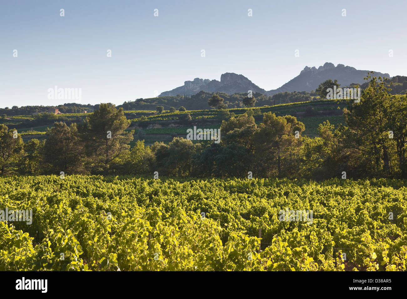 Suzette provence france hires stock photography and images Alamy