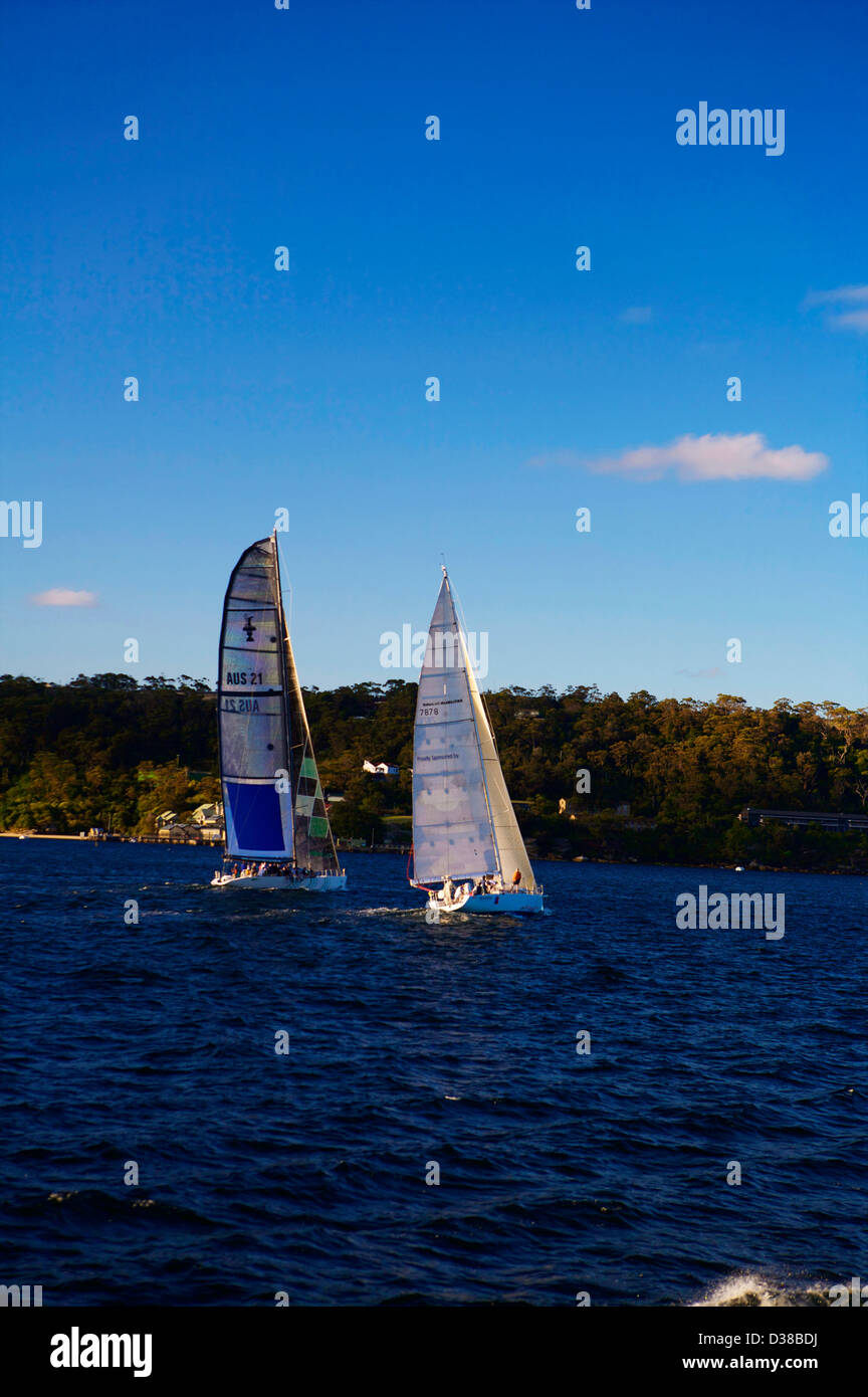 Yachts sailing in the Sydney Harbour NSW, Australia Stock Photo Alamy
