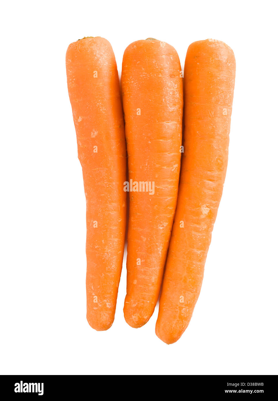Carrots. Stock Photo