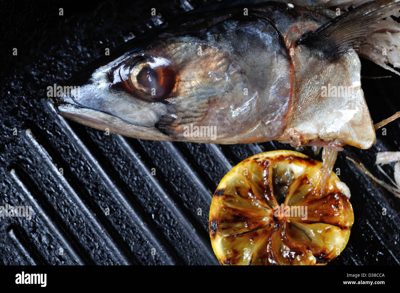 Griddle pan fried hires stock photography and images Alamy