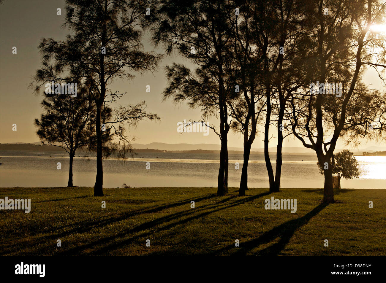 Calm lake shore at sunset with trees Stock Photo