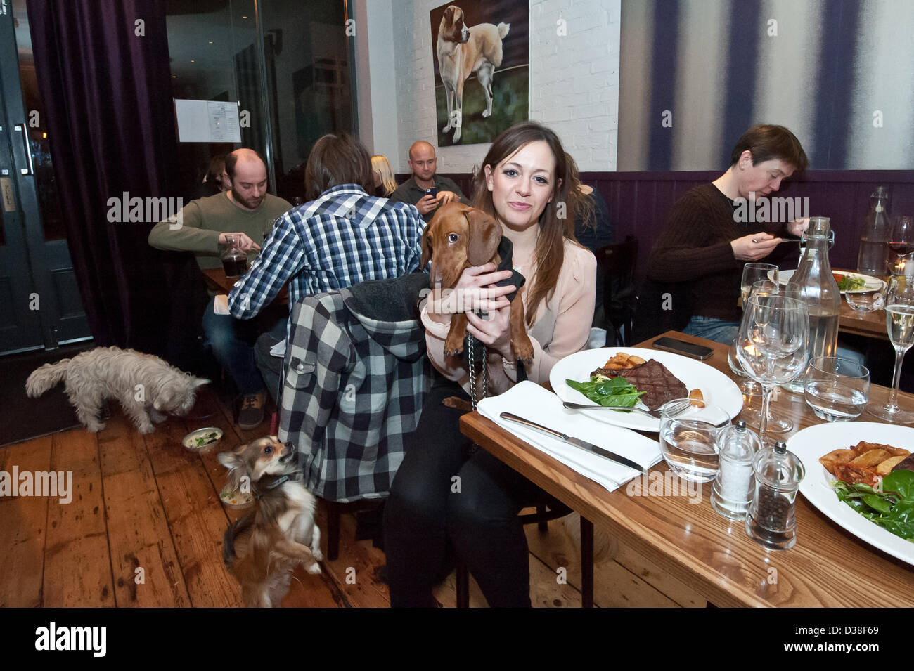 Morgan the Daschund with owner Jules and fellow diners enjoy My Doggy Valentine Dinner for dogs and friends, a fundraiser for the Dogs Trust at the Coal Shed Restaurant, Brighton, East Sussex, UK. 12th February 2013. Photo by Julia Claxton/Alamy live news. Stock Photo