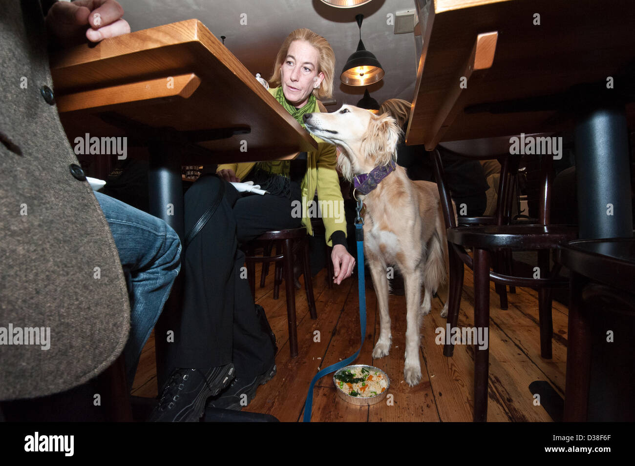 The gorgeous Honey - a Rescued Saluki cross dog enjoys sharing dinner with her new owner at My Doggy Valentine Dinner for dogs and friends whilst fundraising for the Dogs Trust at the Coal Shed Restaurant, Brighton, East Sussex, UK. 12th February 2013. Photo by Julia Claxton/Alamy live news. Stock Photo