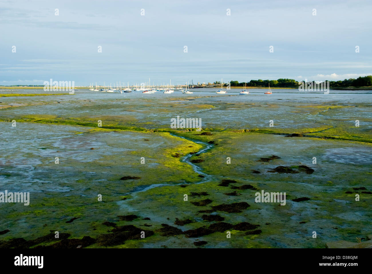 late afternoon sun across Langstone Harbour portsmouth uk at low tide