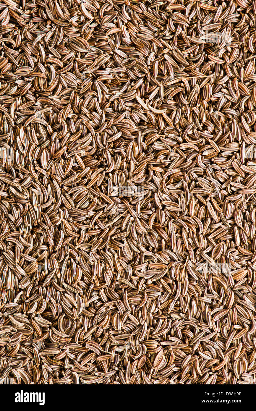 Cumin plant hires stock photography and images Alamy