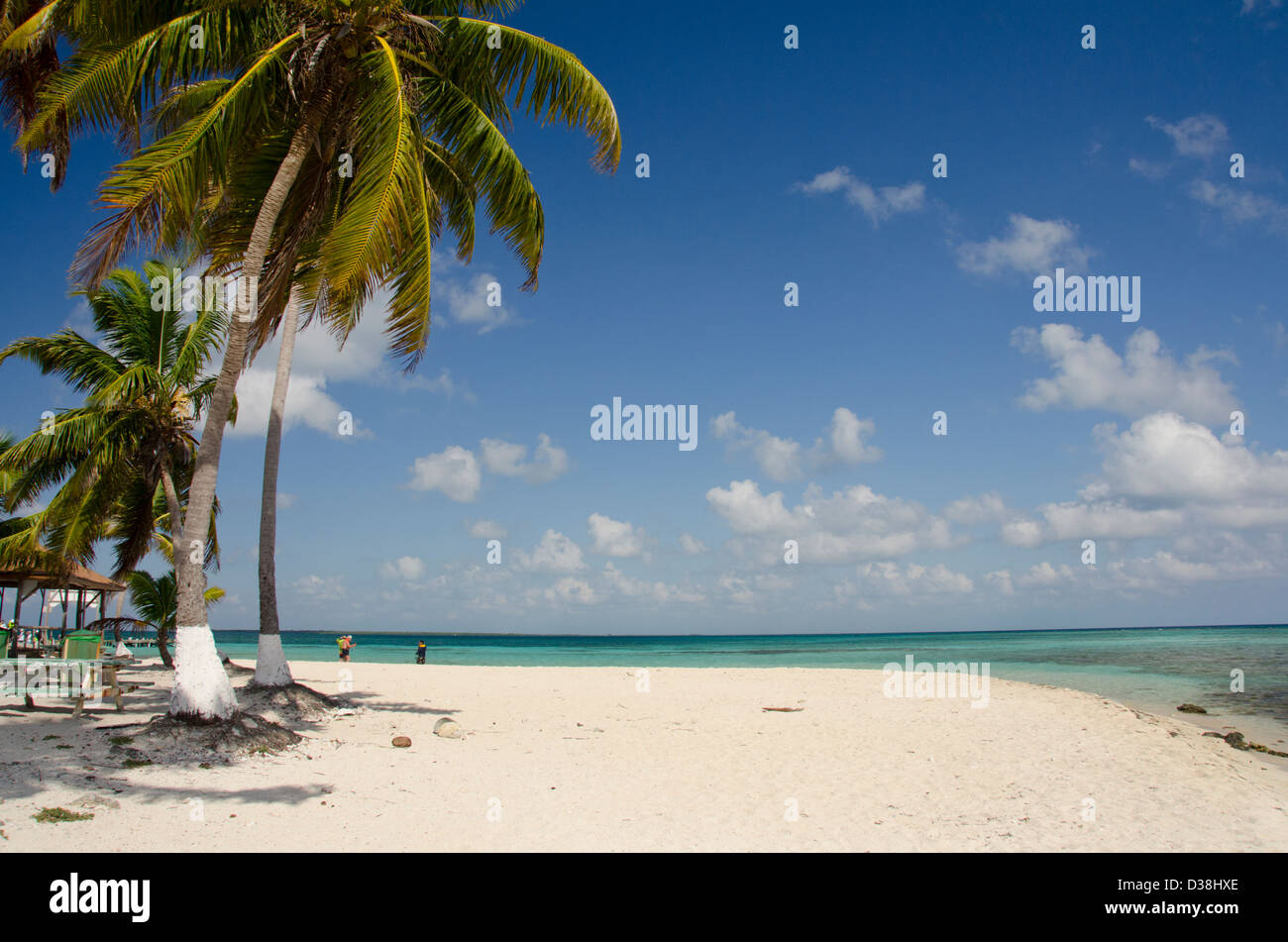 Goff Caye Hi-res Stock Photography And Images - Alamy