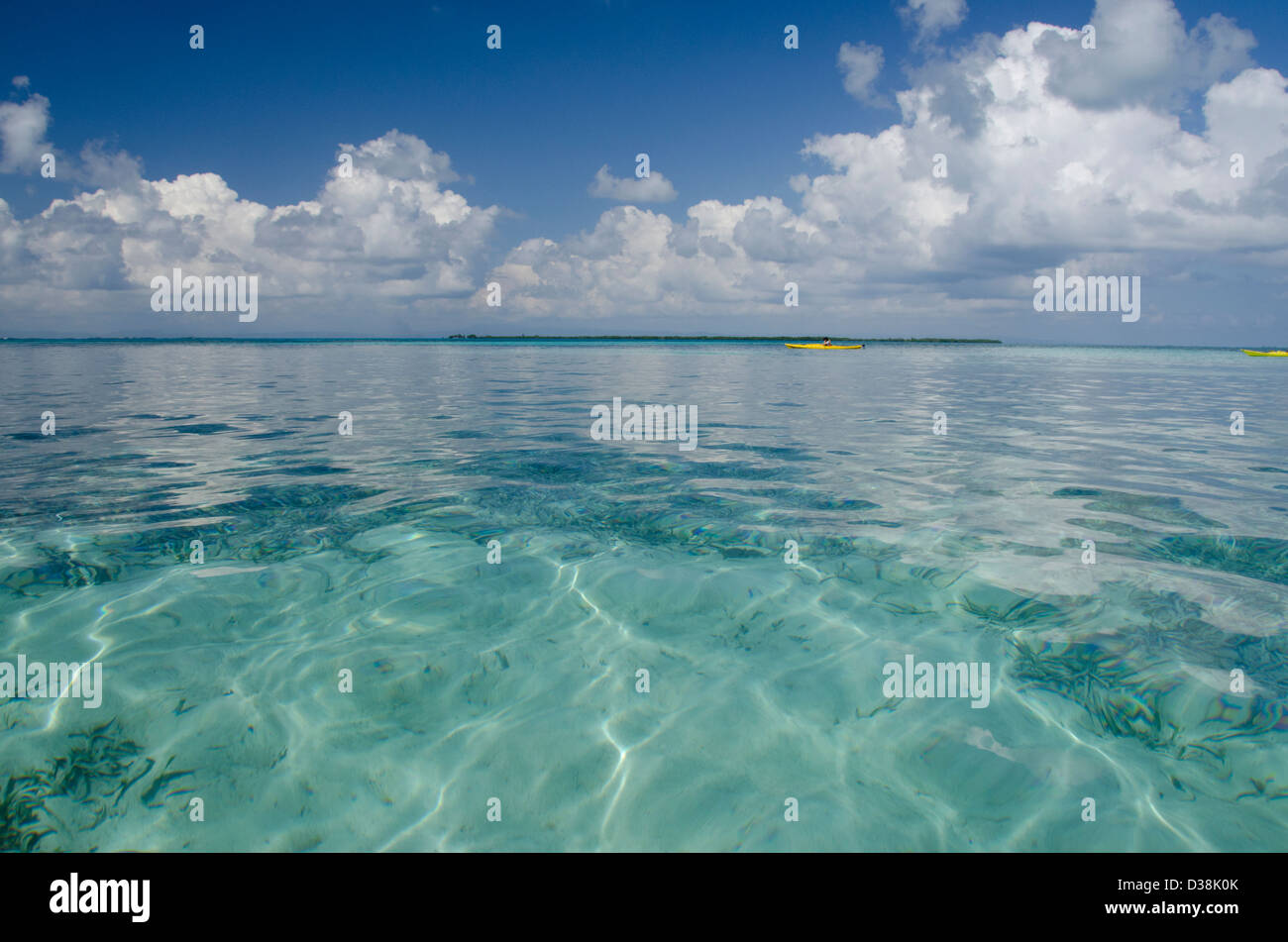 Belize, District of Stann Creek, Southwater Cay. Clear blue water off the coast of the island of