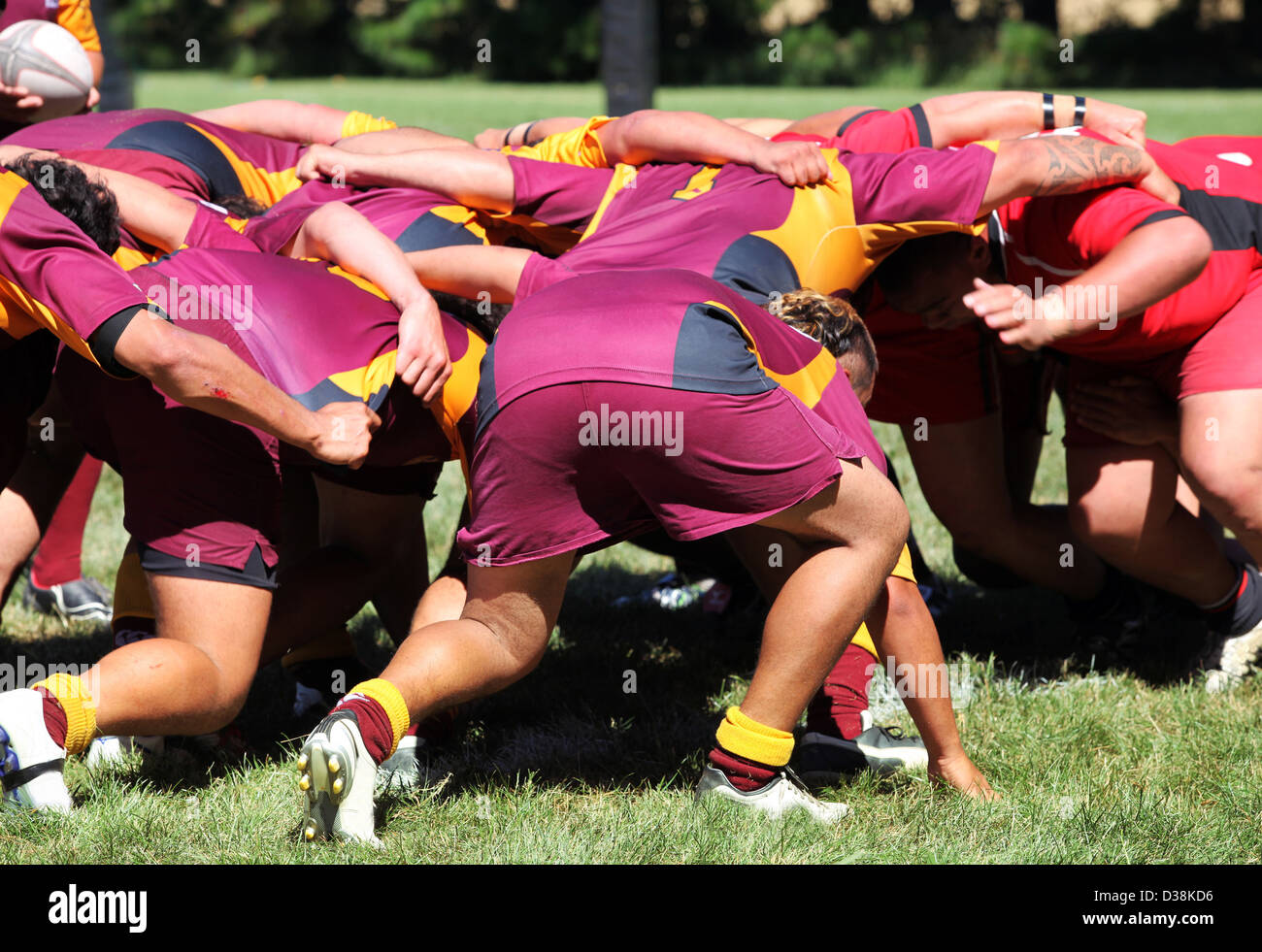 Men playing rugby union sport. New Zealand club Rugby Stock Photo