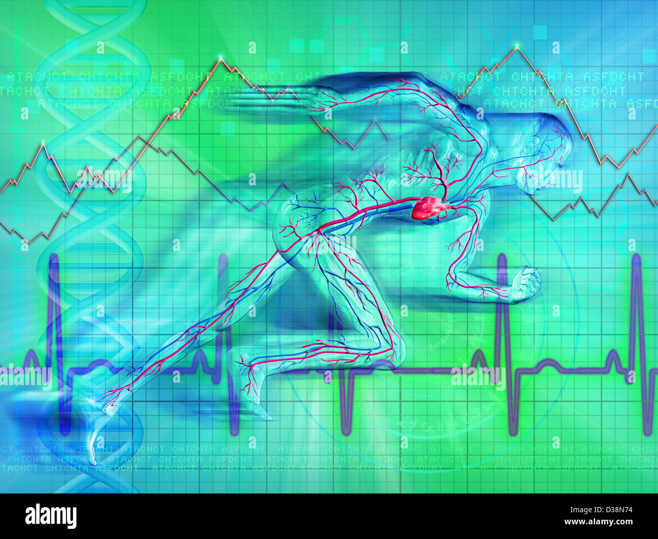 Illustrative representation showing heartbeat graph of a man Stock Photo