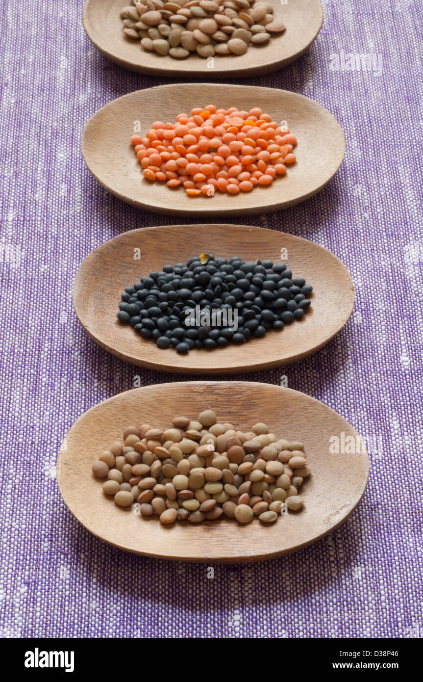 Close-up view of four different variety of Organic Lentils: (back to front) Green, Red, Black Beluga, Small Umbrian Lentils. Stock Photo