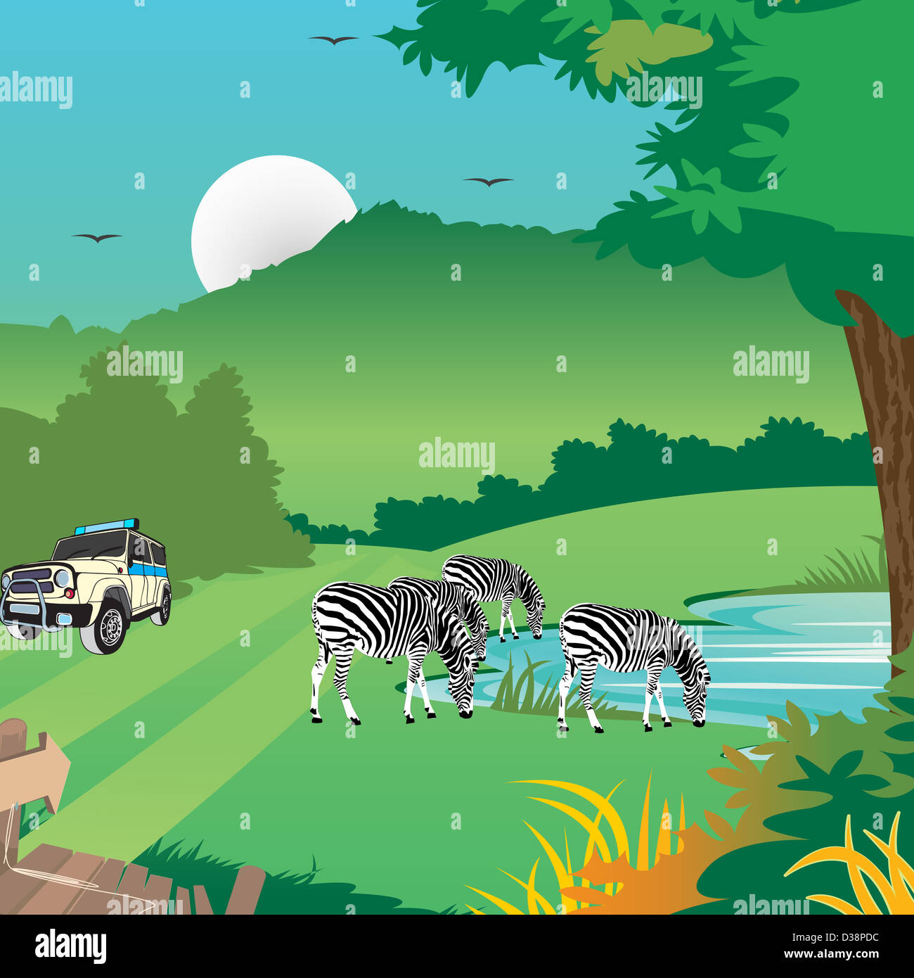 Zebras with a jeep in a forest Stock Photo