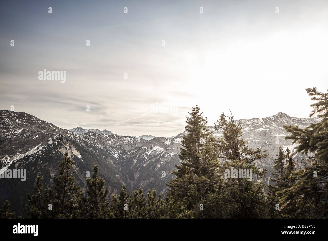 Mountains and trees in rural landscape Stock Photo - Alamy